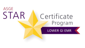 American Society for Gastrointestinal Endoscopy STAR Certificate Program for Lower GI EMR